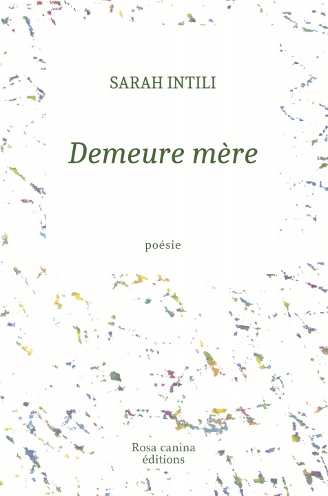 Boek Demeure mère INTILI