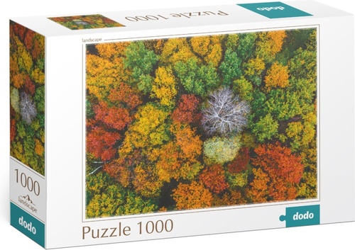 Game/Toy Puzzle Dzembronya, Ukrajina 