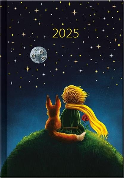 Buch Diář 2025 Art Malý princ, denní A5 