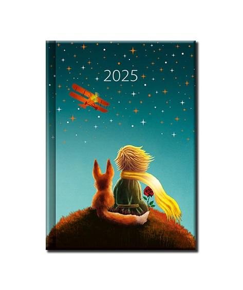 Buch Diář 2025 Praktik Princ, denní 