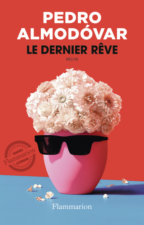 Carte Le Dernier Rêve Almodóvar
