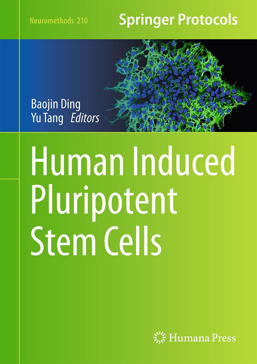 Книга Human Induced Pluripotent Stem Cells Baojin Ding