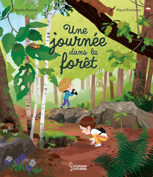 Książka Une journée dans la forêt Agnès Besson