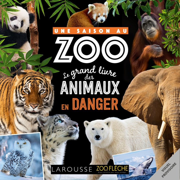 Carte UNE SAISON AU ZOO - Le grand livre des animaux en danger 