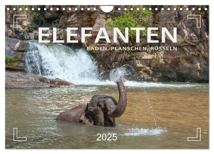 Kalendář/Diář Elefanten - Baden, Planschen, Rüsseln (Wandkalender 2025 DIN A4 quer), CALVENDO Monatskalender Calvendo