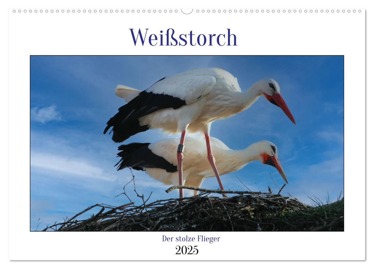 Kalendar/Rokovnik Weißstorch, der stolze Flieger (Wandkalender 2025 DIN A2 quer), CALVENDO Monatskalender Calvendo