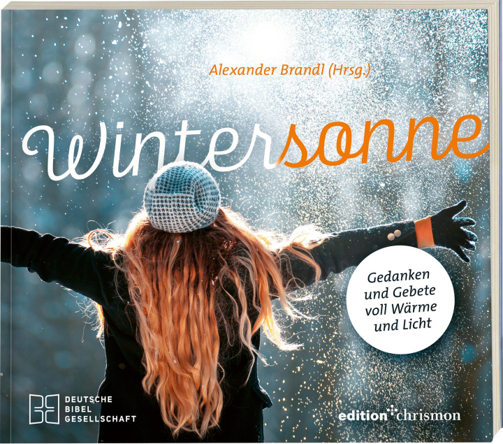 Book Wintersonne Alexander Brandl