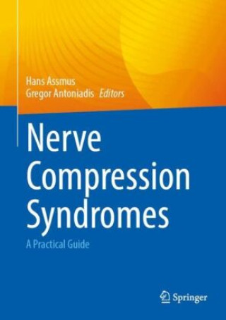 Kniha Nerve Compression Syndromes Hans Assmus