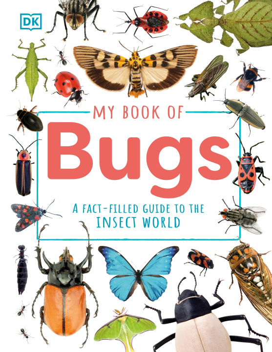 Buch My Book of Bugs Ben Hubbard