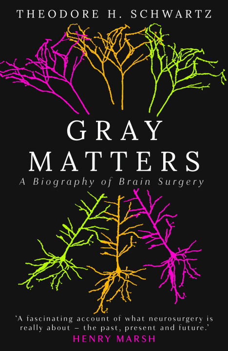 Könyv Gray Matters Dr. Theodore Schwartz