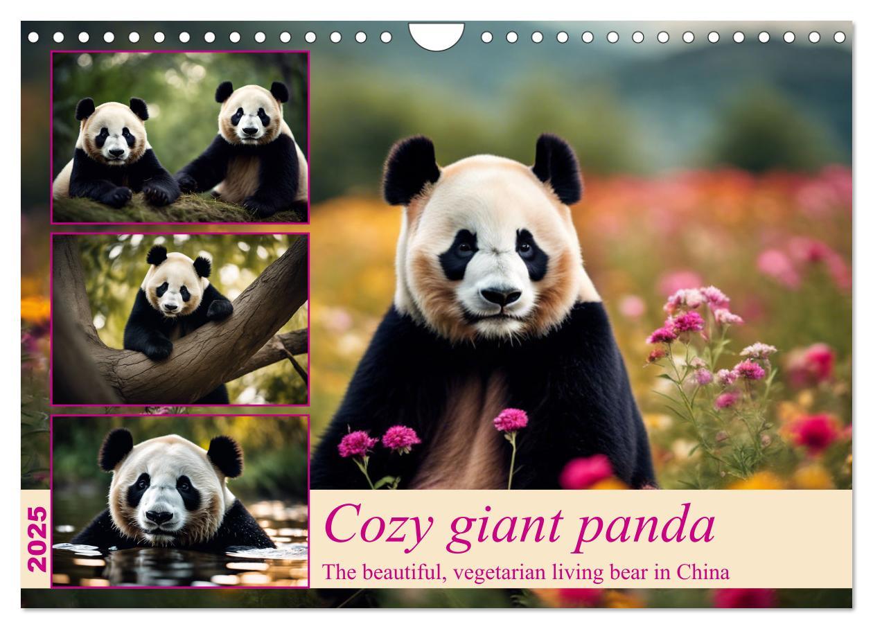 Kalendář/Diář Cozy giant panda (Wall Calendar 2025 DIN A4 landscape), CALVENDO 12 Month Wall Calendar 