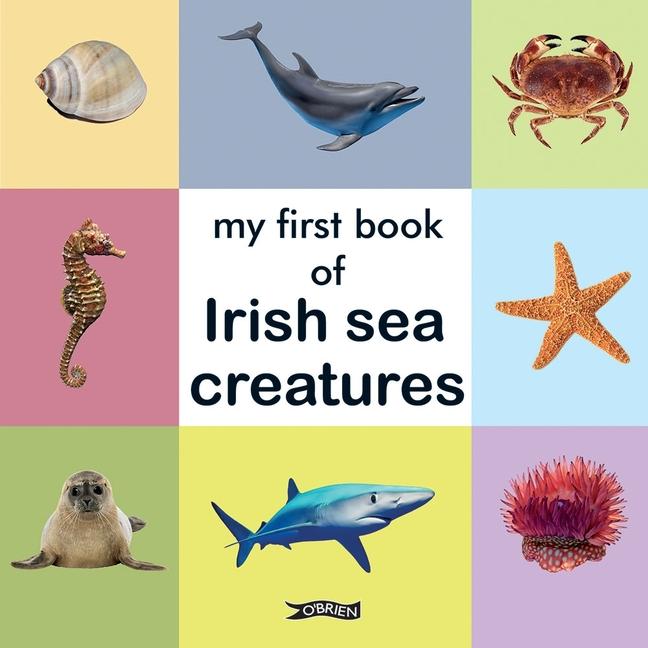 Könyv My First Book of Irish Sea Creatures 