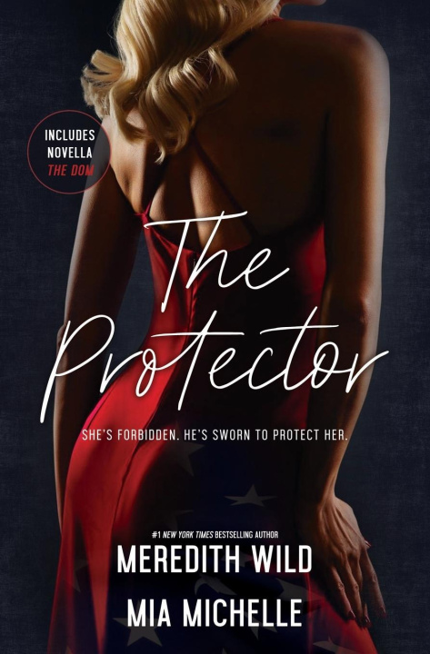 Kniha The Protector Mia Michelle