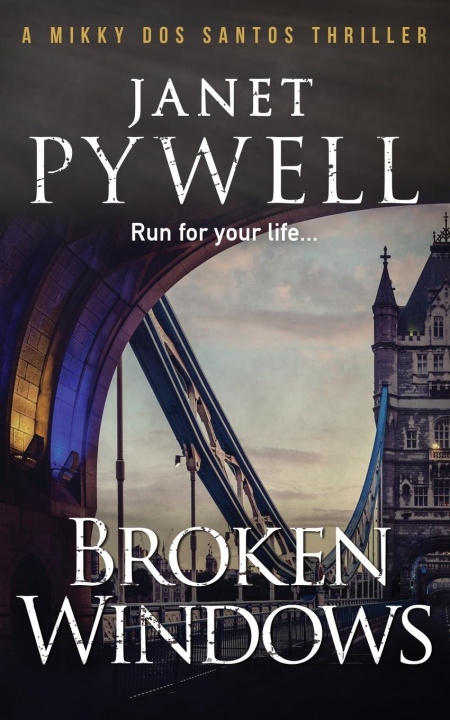 Book Broken Windows Janet Pywell