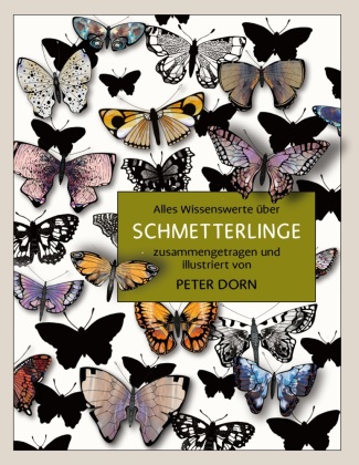 Buch Schmetterlinge 