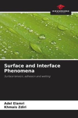 Book Surface and Interface Phenomena Khmais Zdiri