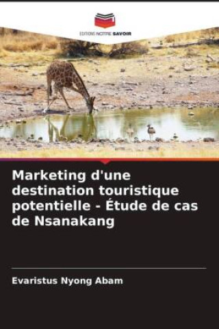 Carte Marketing d'une destination touristique potentielle - Étude de cas de Nsanakang 