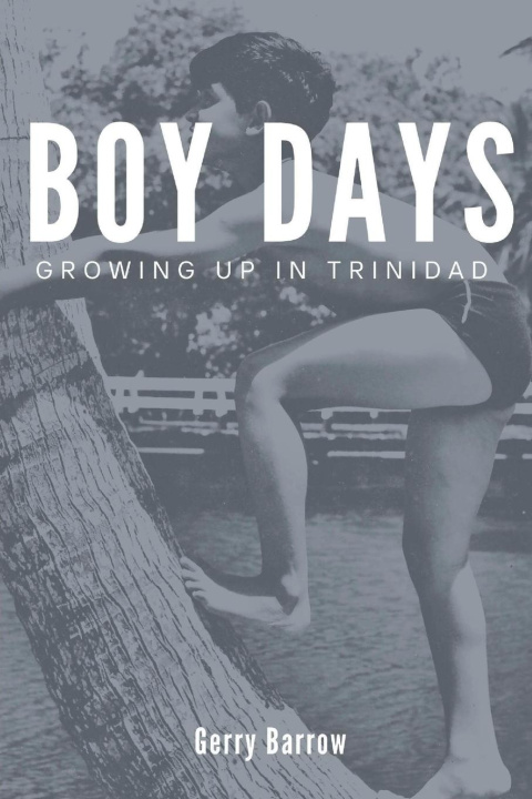Kniha Boy Days Gerry Barrow