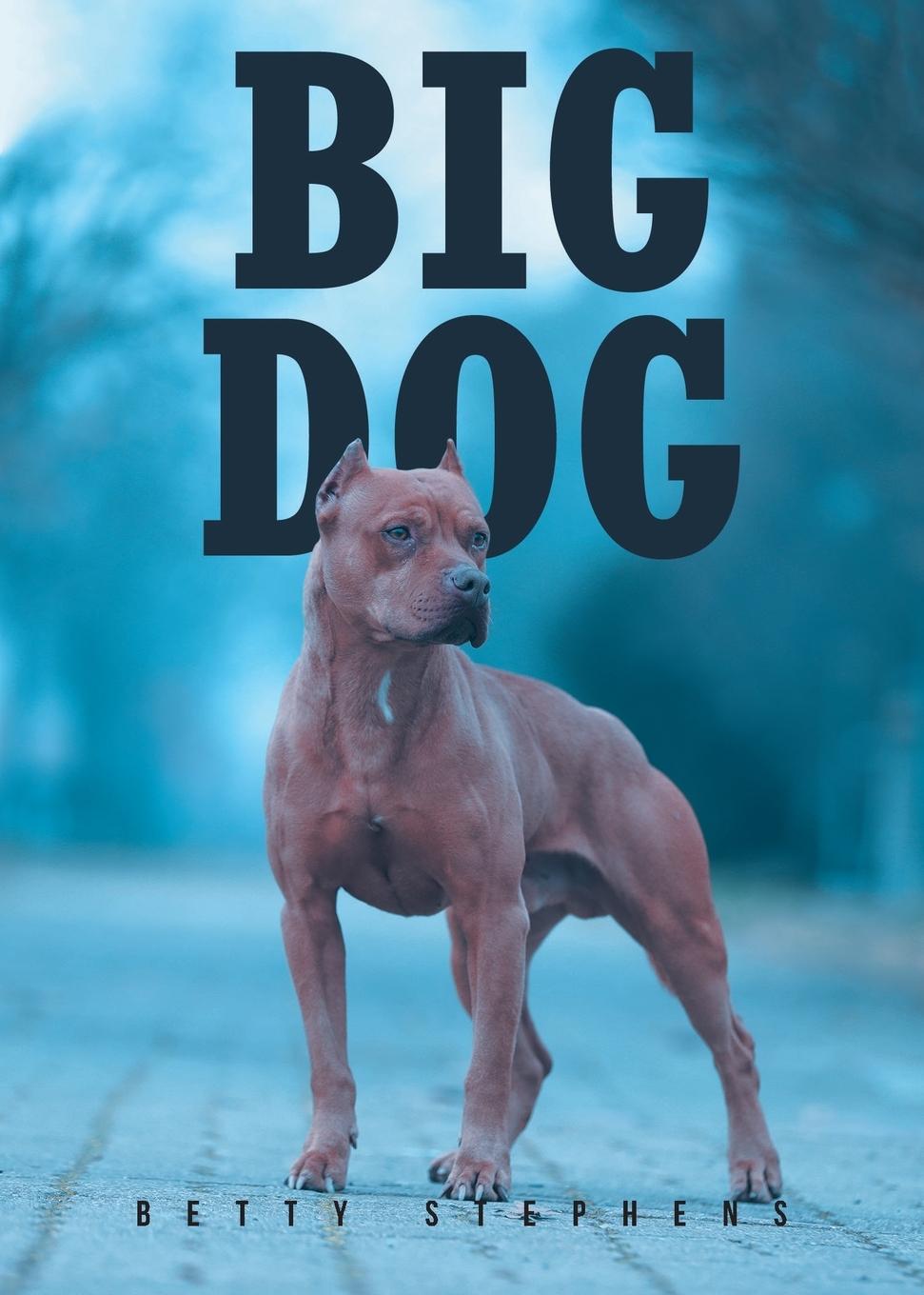 Knjiga BIG DOG Betty Stephens