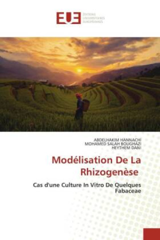 Buch Modélisation De La Rhizogenèse Abdelhakim Hannachi