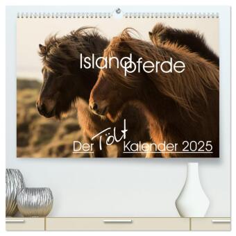 Kalendář/Diář Islandpferde - Der Tölt Kalender (hochwertiger Premium Wandkalender 2025 DIN A2 quer), Kunstdruck in Hochglanz Calvendo