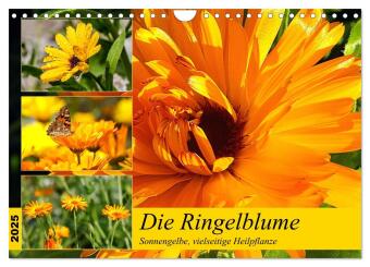 Calendario/Agenda Die Ringelblume. Sonnengelbe, vielseitige Heilpflanze (Wandkalender 2025 DIN A4 quer), CALVENDO Monatskalender Calvendo