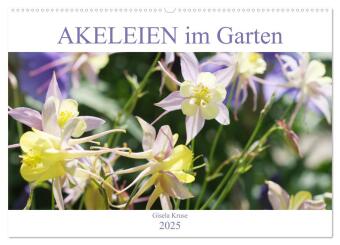Naptár/Határidőnapló Akeleien im Garten (Wandkalender 2025 DIN A2 quer), CALVENDO Monatskalender Calvendo