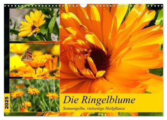 Calendario/Agenda Die Ringelblume. Sonnengelbe, vielseitige Heilpflanze (Wandkalender 2025 DIN A3 quer), CALVENDO Monatskalender Calvendo