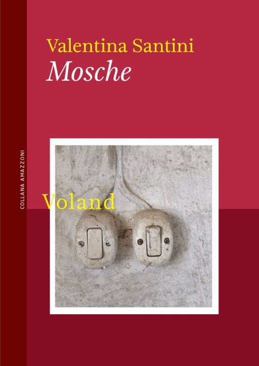 Knjiga Mosche Valentina Santini