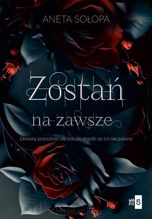 Knjiga Zostań na zawsze Sołopa Aneta