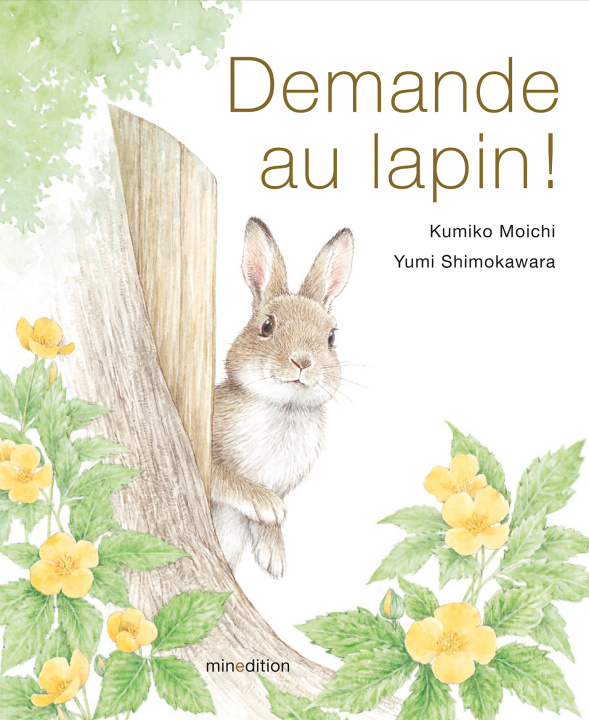 Libro DEMANDE AU LAPIN ! Shimokawara yumi