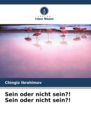 Knjiga Sein oder nicht sein?! Sein oder nicht sein?! Chingiz Ibrahimov