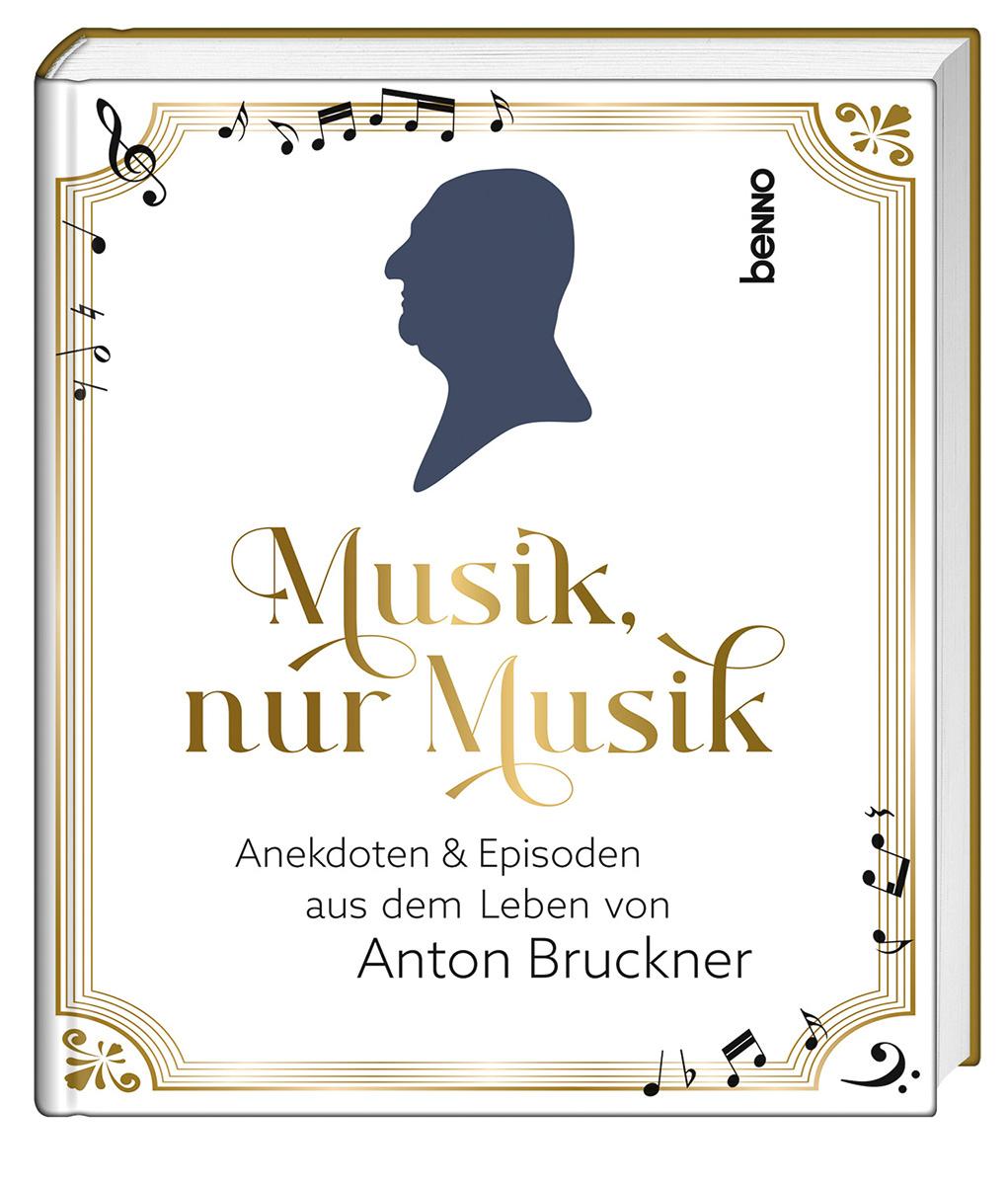 Kniha Musik, nur Musik Hermann Multhaupt