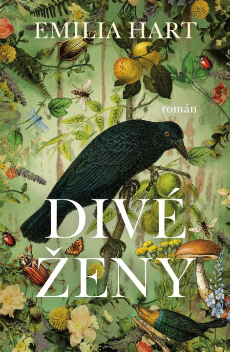 Buch Divé ženy Emilia Hart