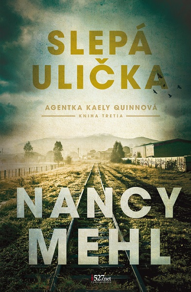 Book Slepá ulička Nancy Mehl