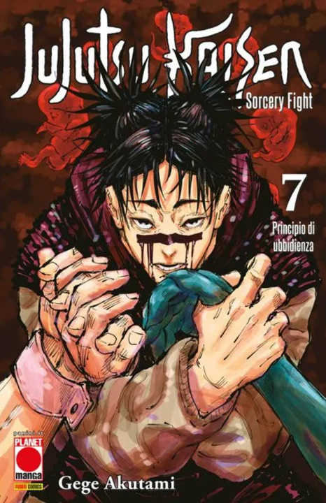 Kniha Jujutsu Kaisen. Sorcery Fight Gege Akutami