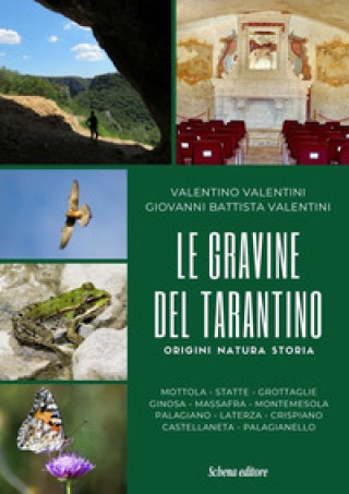 Kniha Gravine del tarantino. Origini natura storia Valentino Valentini