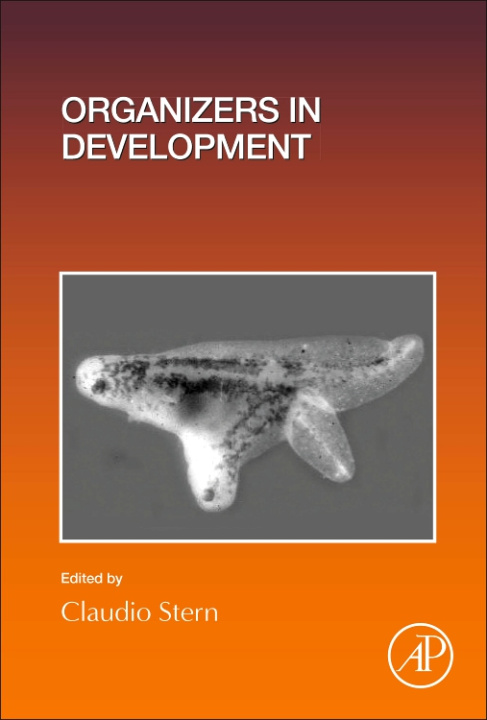 E-book Organizers in Development Claudio Stern