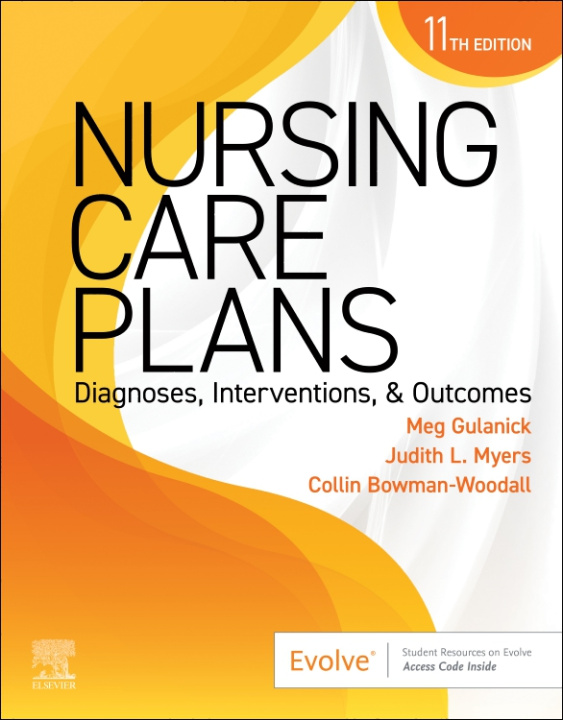 Kniha Nursing Care Plans Meg Gulanick