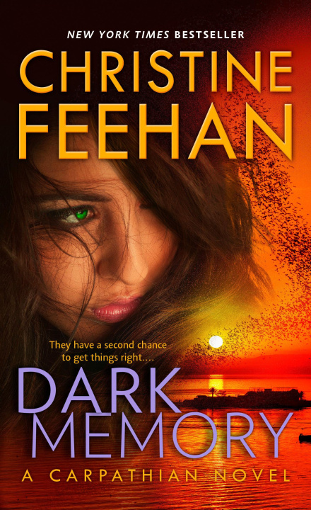 Könyv Dark Memory Feehan