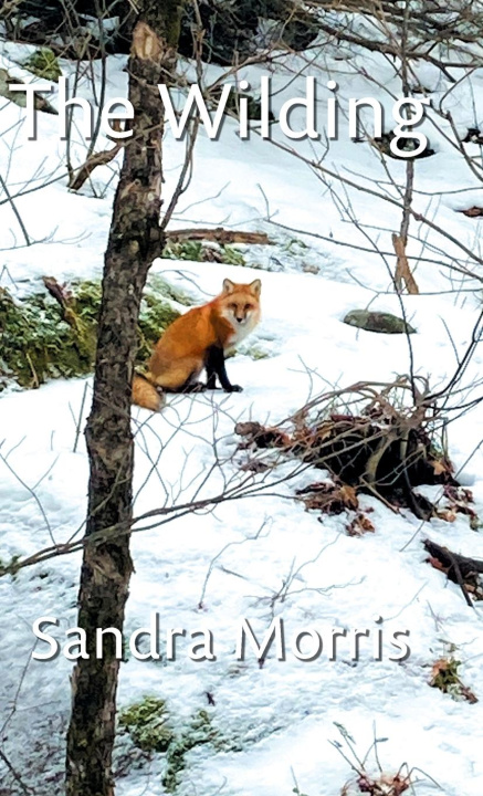 Buch The Wilding Sandra Morris