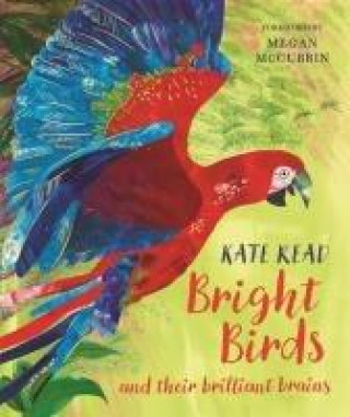 Książka Bright Birds Kate Read