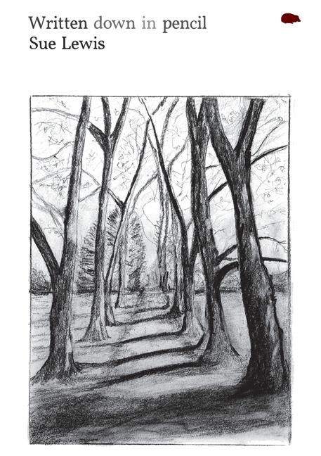 Book Written down in pencil Sue Lewis