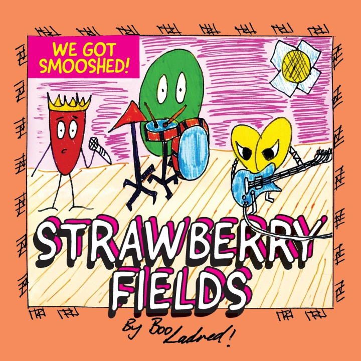 Knjiga Strawberry Fields Boo Ladred