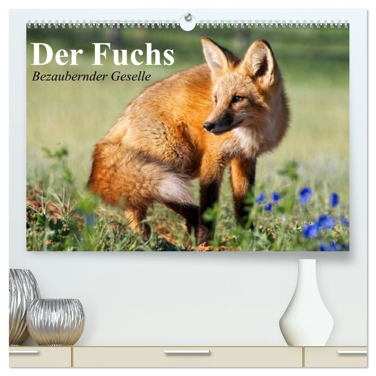 Kalendář/Diář Der Fuchs. Bezaubernder Geselle (hochwertiger Premium Wandkalender 2025 DIN A2 quer), Kunstdruck in Hochglanz 