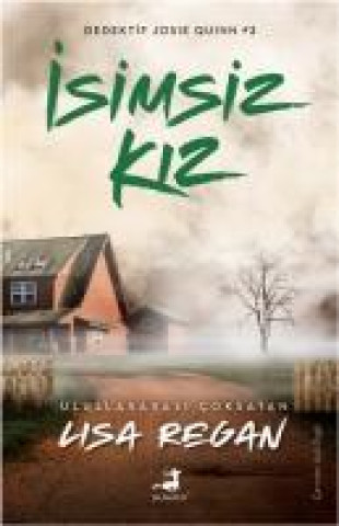 Book Isimsiz Kiz - Dedektif Josie Quinn 2 