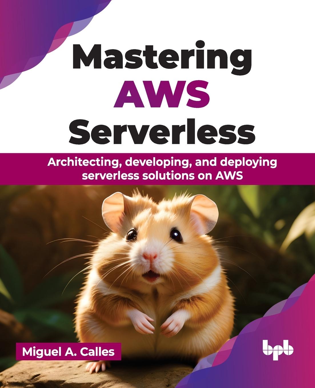 Knjiga Mastering AWS Serverless Miguel A. Calles