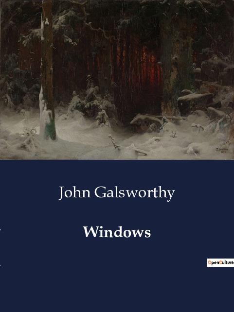 Knjiga Windows Galsworthy