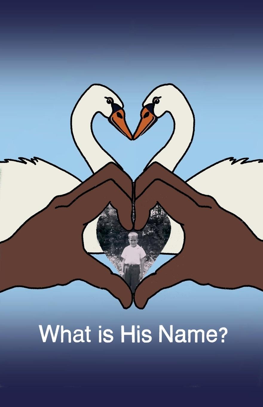 Kniha What is His Name? Stephen Meiner