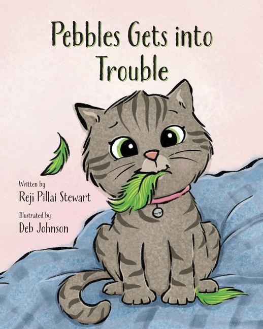Buch Pebbles Get Into Trouble Deb Johnson